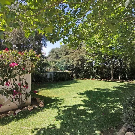 Διαμέρισμα Quinta De Loubite - Laranjeiras *